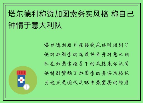 塔尔德利称赞加图索务实风格 称自己钟情于意大利队