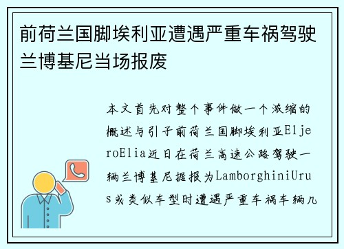 前荷兰国脚埃利亚遭遇严重车祸驾驶兰博基尼当场报废