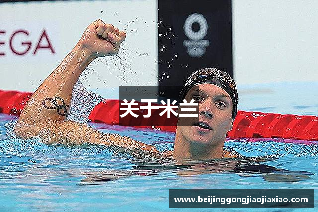 关于米兰